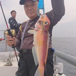 ARCADIAⅡ (アルカディアⅡ) 釣果