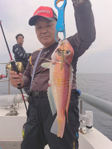 ARCADIAⅡ (アルカディアⅡ) 釣果