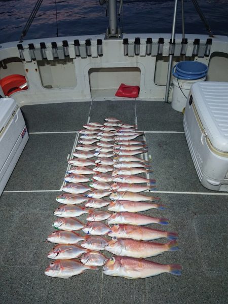 ARCADIAⅡ （アルカディアⅡ） 釣果…