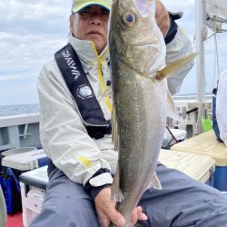 シーライオン 釣果