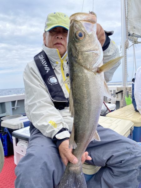 シーライオン 釣果