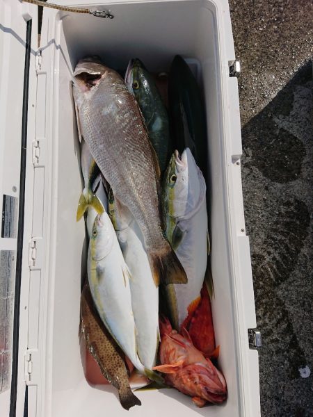 エンペラー 釣果