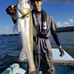 アマテラス 釣果