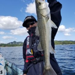 アマテラス 釣果