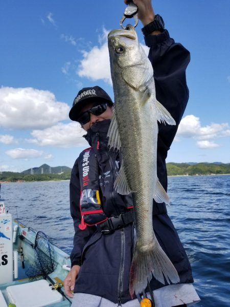 アマテラス 釣果