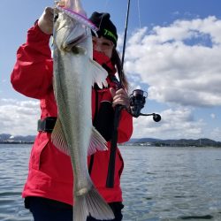 アマテラス 釣果