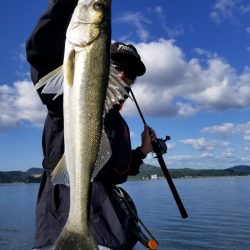 アマテラス 釣果