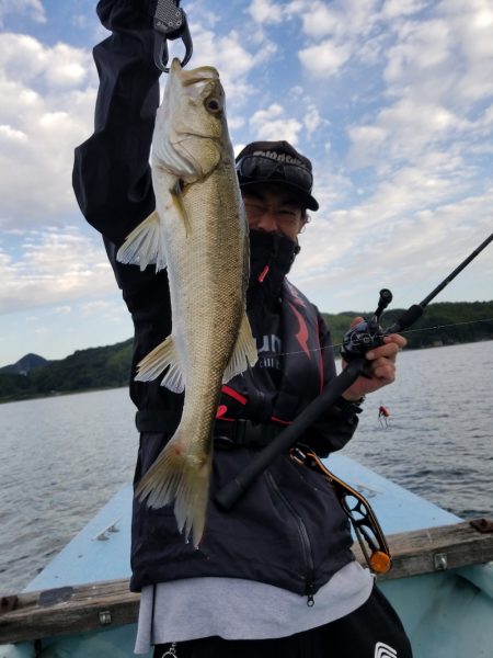 アマテラス 釣果