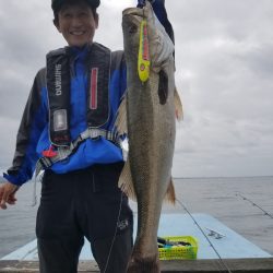 アマテラス 釣果