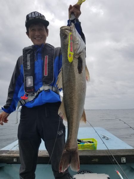 アマテラス 釣果