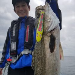 アマテラス 釣果