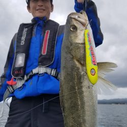 アマテラス 釣果