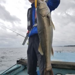 アマテラス 釣果