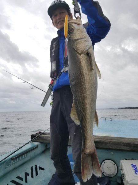 アマテラス 釣果