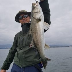 アマテラス 釣果