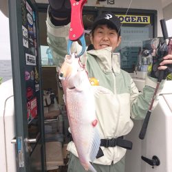 ARCADIAⅡ (アルカディアⅡ) 釣果