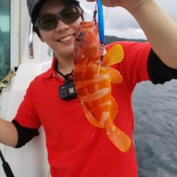 アマテラス 釣果