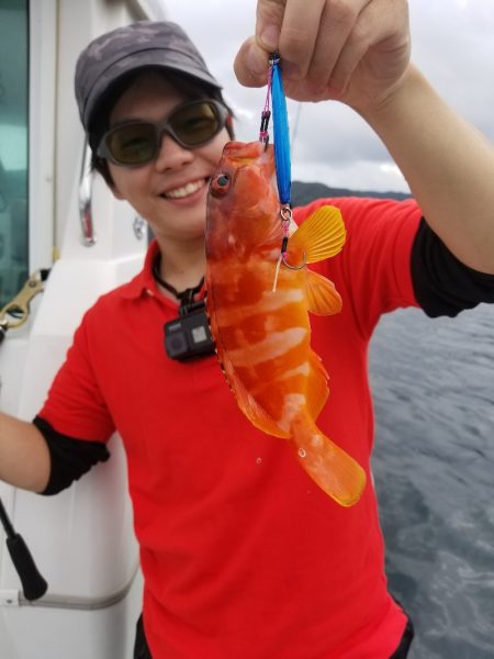 アマテラス 釣果