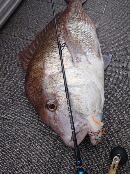 ARCADIAⅡ (アルカディアⅡ) 釣果