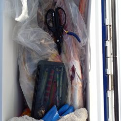 第二龍勢丸 釣果