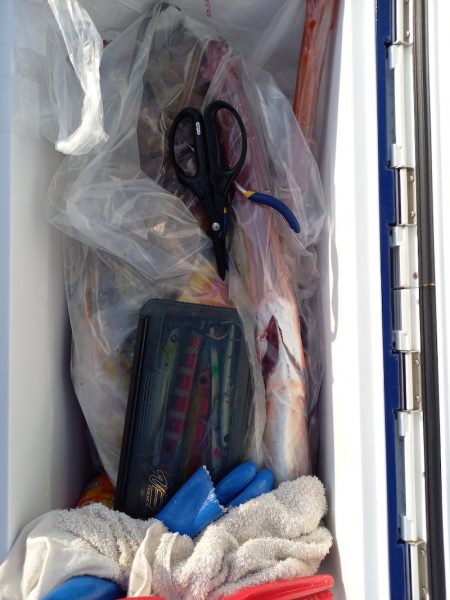 第二龍勢丸 釣果