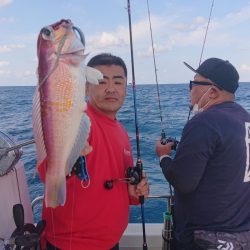 ARCADIAⅡ （アルカディアⅡ） 釣果