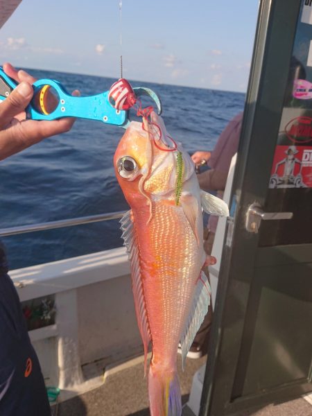 ARCADIAⅡ （アルカディアⅡ） 釣果