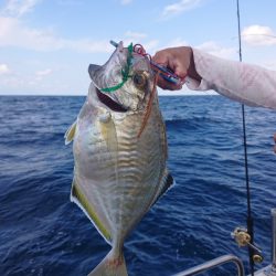 ARCADIAⅡ （アルカディアⅡ） 釣果