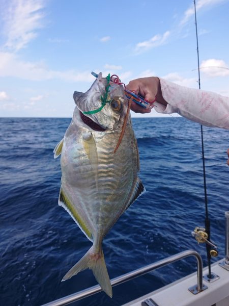 ARCADIAⅡ （アルカディアⅡ） 釣果