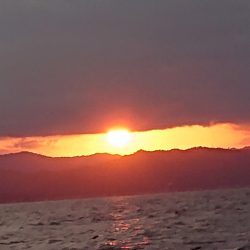 ARCADIAⅡ （アルカディアⅡ） 釣果