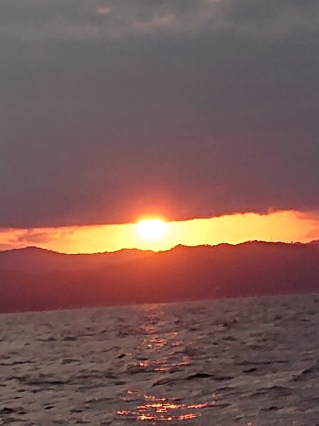 ARCADIAⅡ （アルカディアⅡ） 釣果