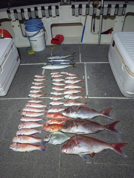 ARCADIAⅡ （アルカディアⅡ） 釣果