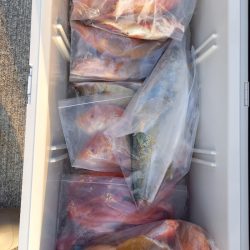 第二龍勢丸 釣果