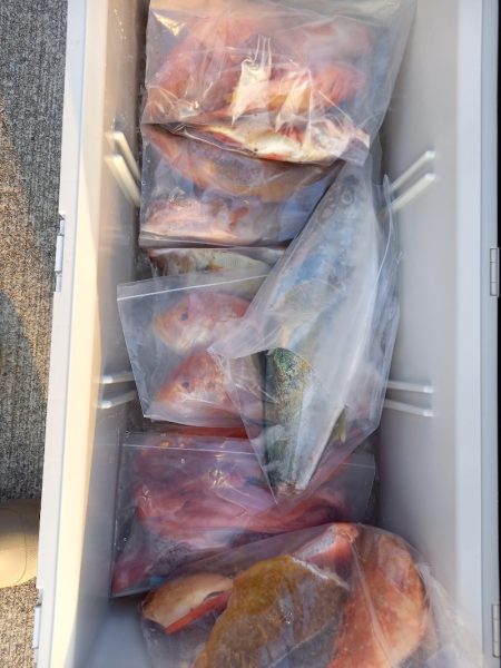 第二龍勢丸 釣果