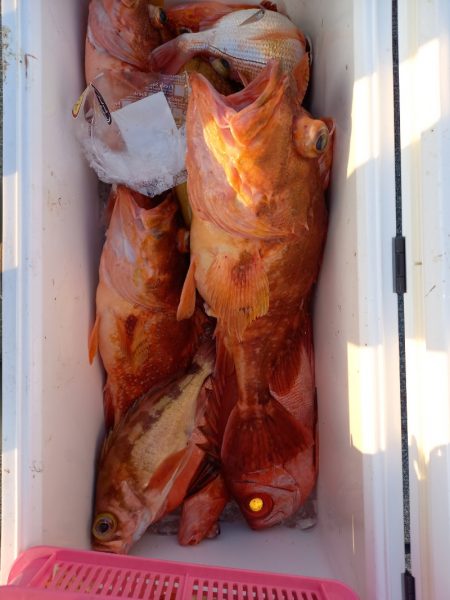 第二龍勢丸 釣果