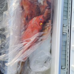 第二龍勢丸 釣果