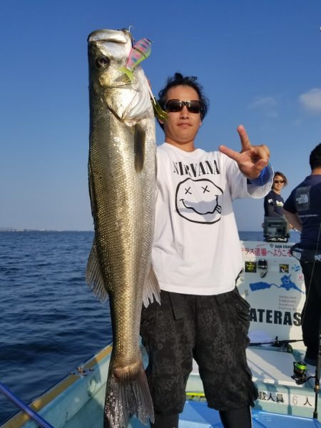 アマテラス 釣果