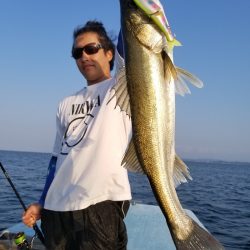 アマテラス 釣果