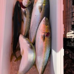 海龍丸(石川) 釣果