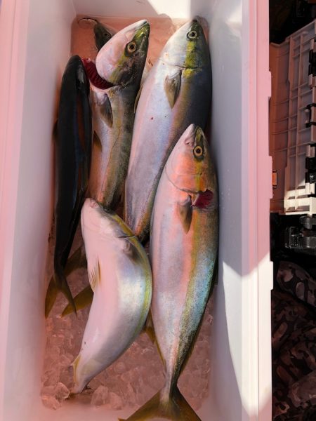 海龍丸(石川) 釣果