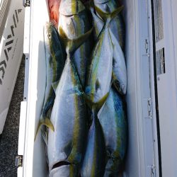 エンペラー 釣果