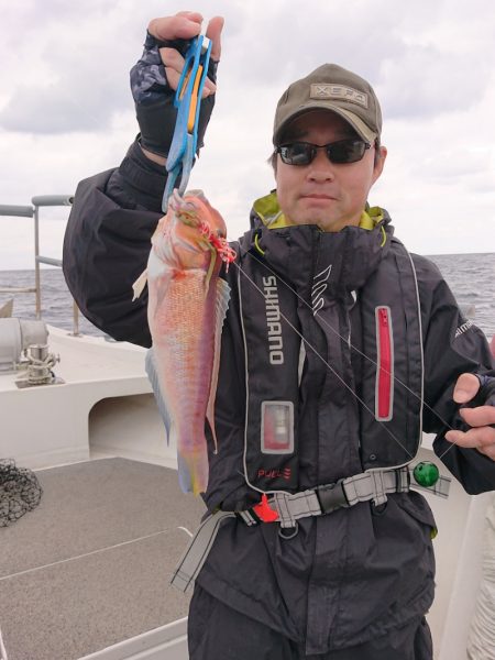 ARCADIAⅡ (アルカディアⅡ) 釣果