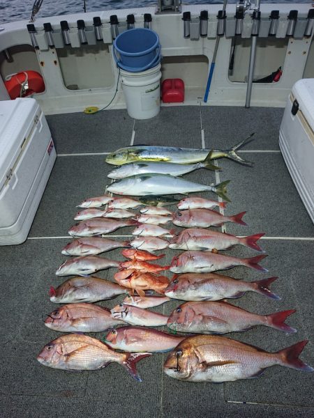 ARCADIAⅡ （アルカディアⅡ） 釣果…