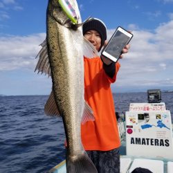 アマテラス 釣果