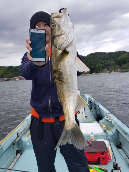 アマテラス 釣果