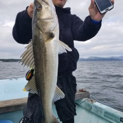 アマテラス 釣果