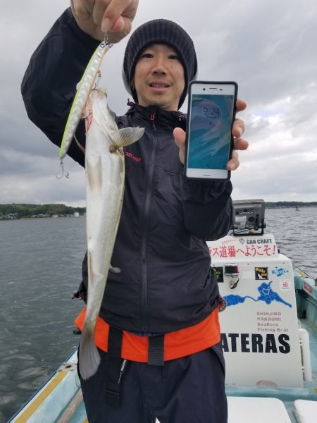 アマテラス 釣果