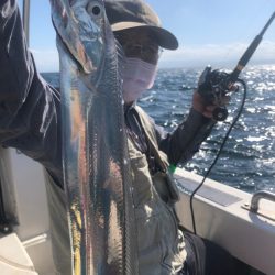 Ｖ−７ West 釣果