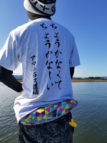 アマテラス 釣果