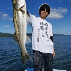 アマテラス 釣果